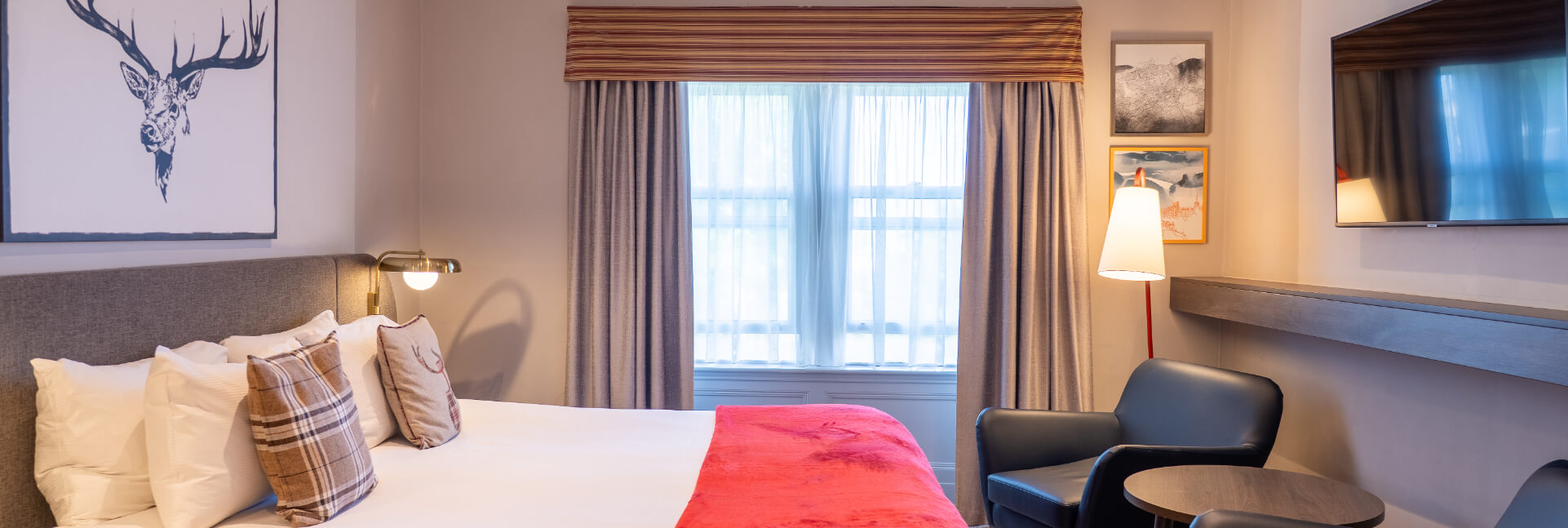 A Executive Room.jpg