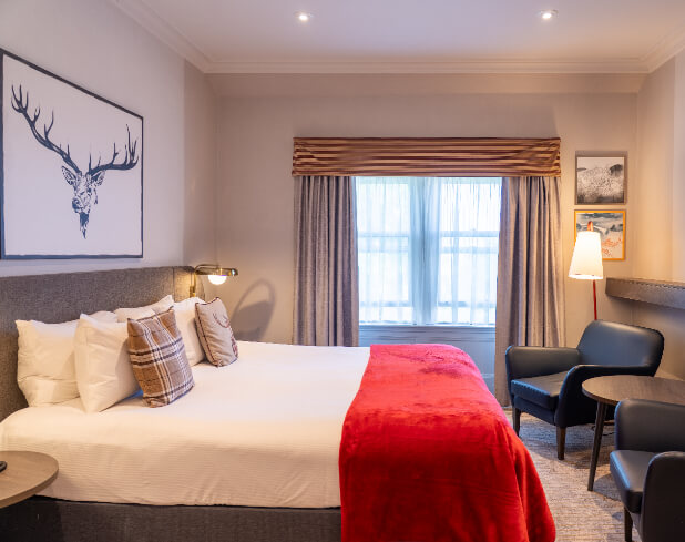 A Executive Room.jpg