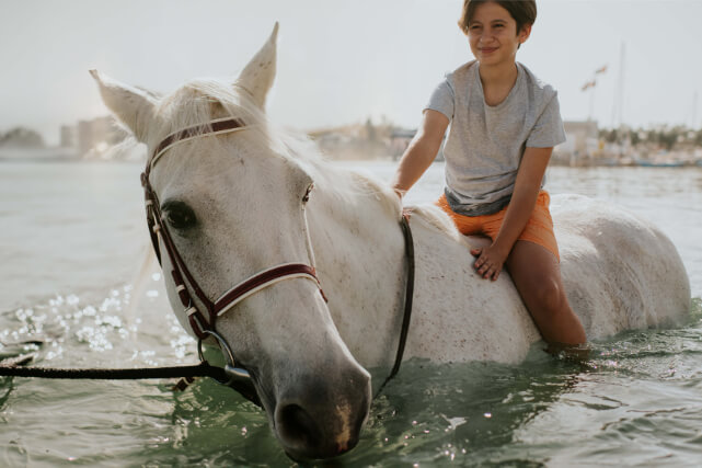 JA_BEACH_RESORT_HORSES_0045.JPG