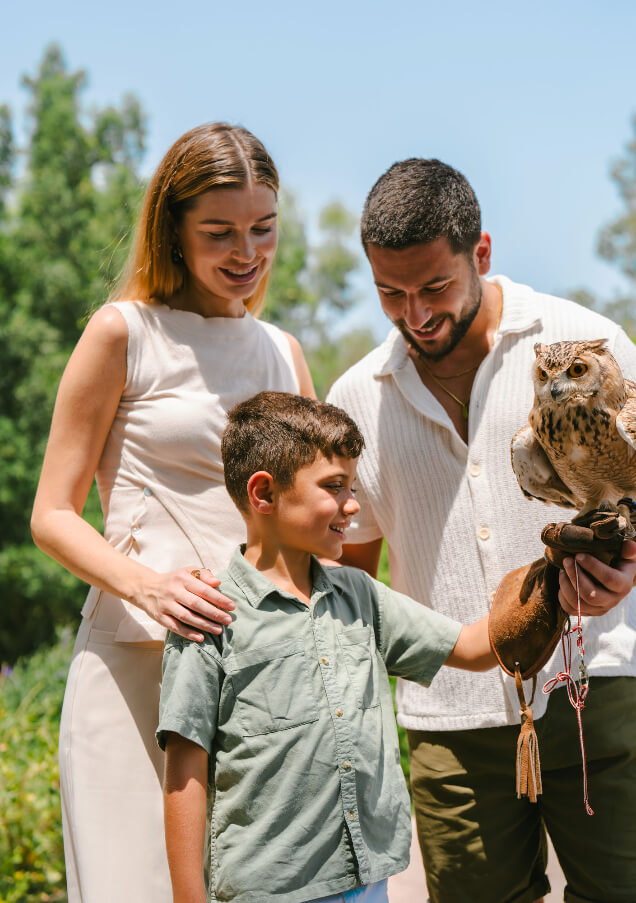 Animal Discovery Zone Bird Aviaries 1.jpg