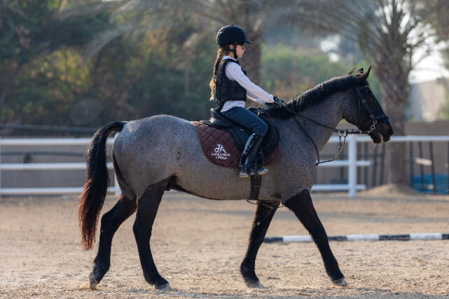 Equestrian Gallery 2.jpg