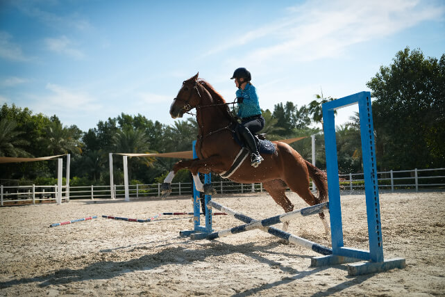 Equestrian Gallery 4.jpg