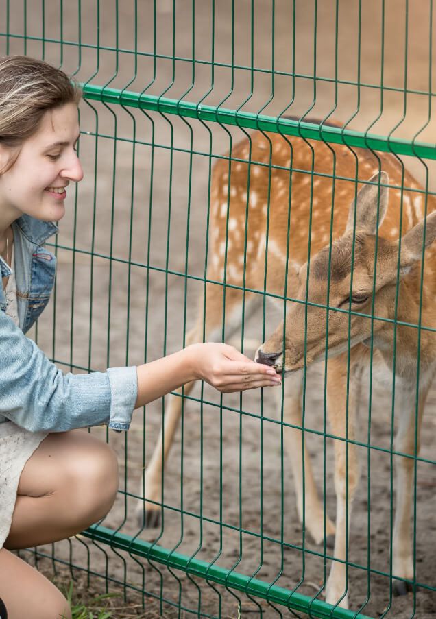 ja-hatta-fort-hotel-eid-offerjpg