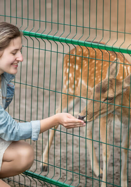 ja-hatta-fort-hotel-eid-offerjpg