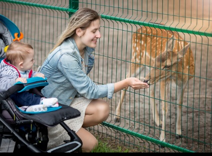 ja-hatta-fort-hotel-eid-offerjpg