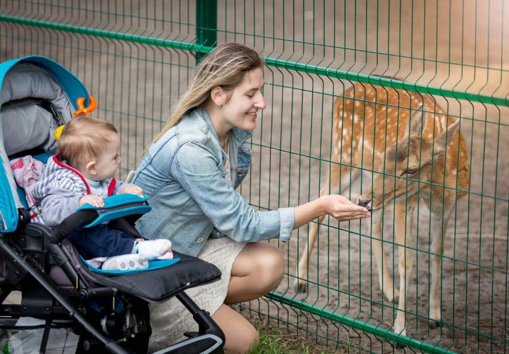 ja-hatta-fort-hotel-eid-offerjpg