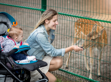 ja-hatta-fort-hotel-eid-offerjpg