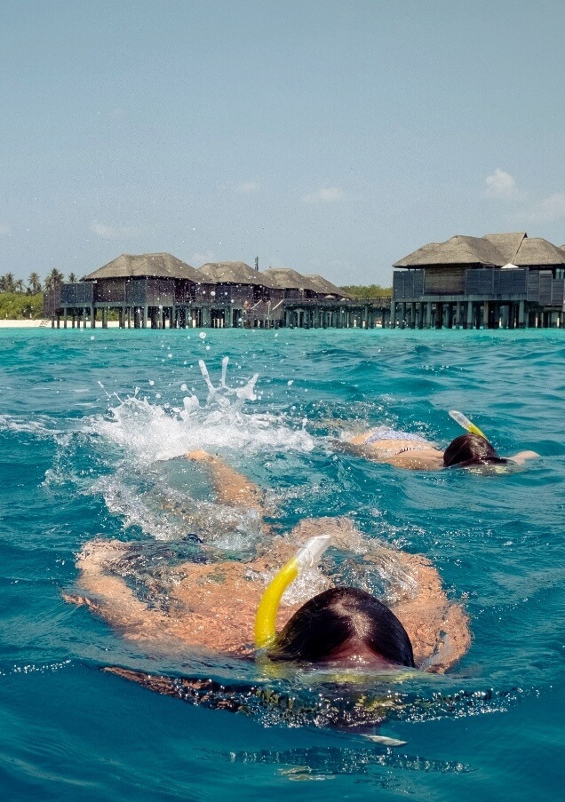 الغوصالسطحيفيجزرالمالديف