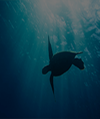 jam-mobile-backgroundtif