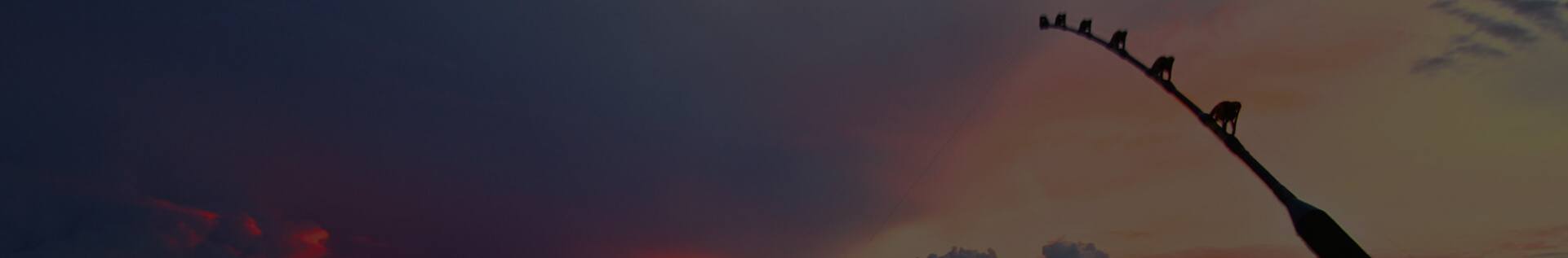 صنارةصيدتحتالسماء