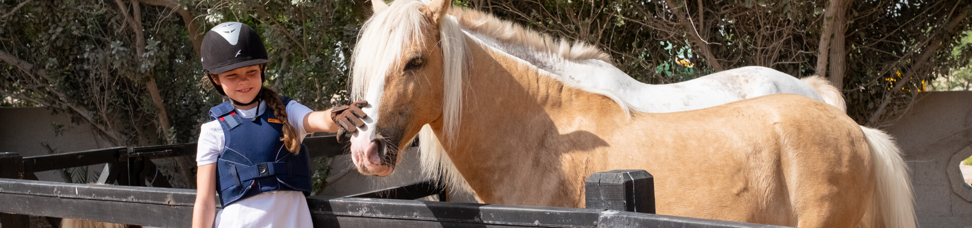 JA-Equestrian-Centre-detail