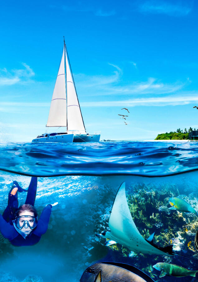 JAMTacticalCampaignjpg