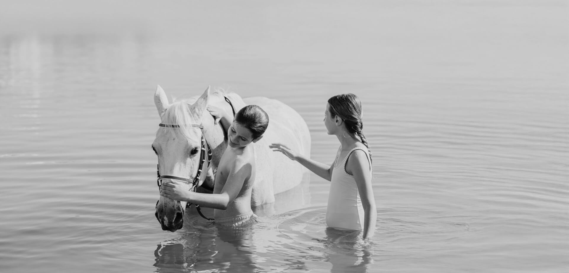 JA Palm Tree Court.jpg