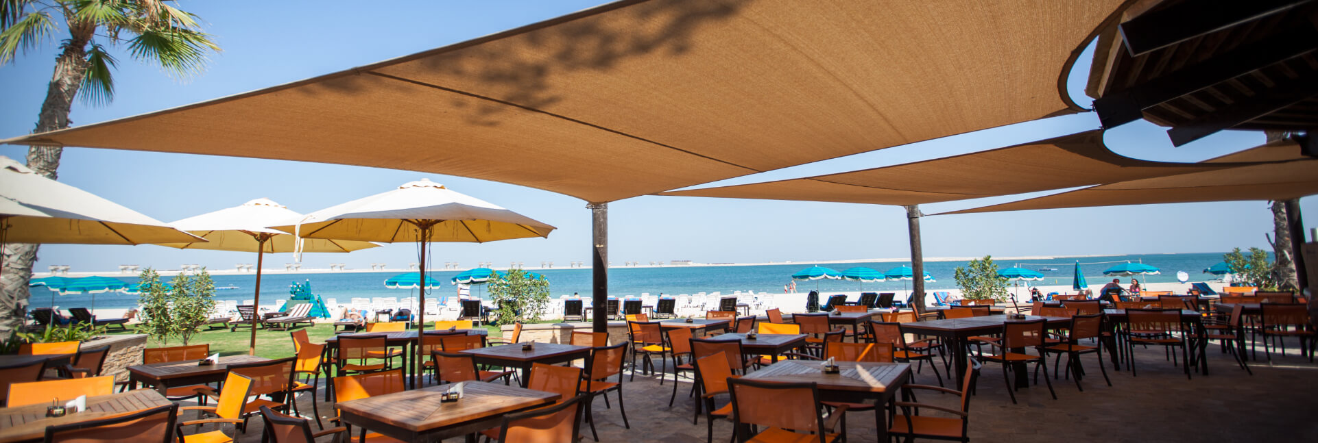 Anchor Bar JA Palm Tree Court.jpg