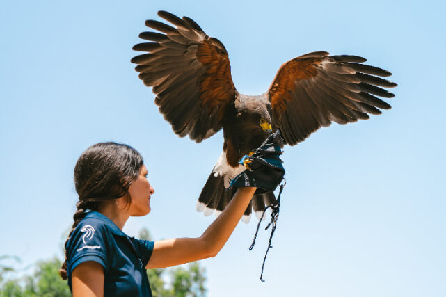 Animal Discovery Zone Bird Aviaries 2.jpg