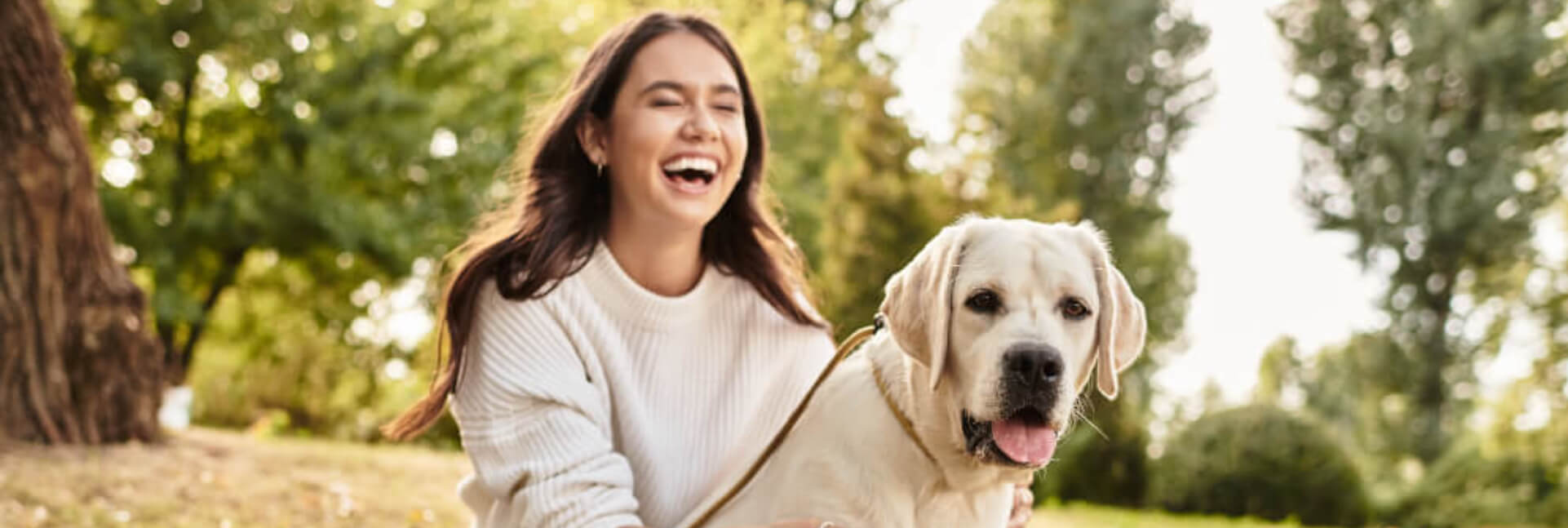 dog-friendly-staycations_hfh-jpg05605f27-5a01-40ce-a540-4ba7b8dbf3f3 1.jpg