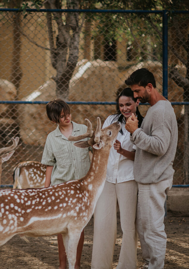 JA Hatta Fort Hotel - Animal Encounters.JPG