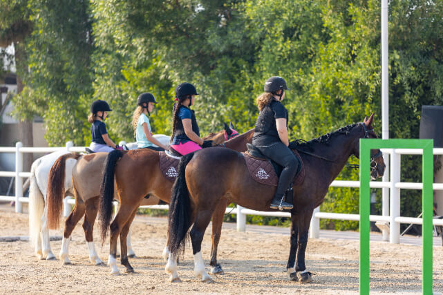 Equestrian Gallery 1.jpg