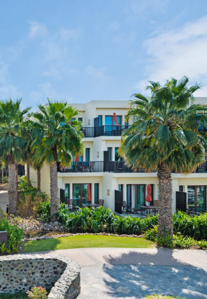 JA-Palm-Tree-Court-hero